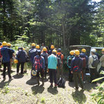 天塩研究林　ヤツメ　山火事跡地