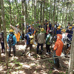 トドマツ林の縞枯れ現象地