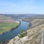 Ausblick mainabwärts in Richtung Westen