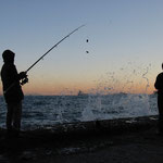 Bosporusangler.