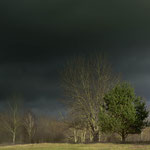 Vor dem Regen