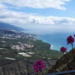 La Palma