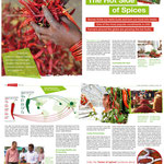Farming's Future 1/2013 DE>EN