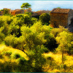 Lluch Alcari