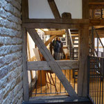 Ausstellung Aschingerhaus "Durchwachsene Zeiten"