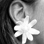 TULOUP