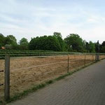 die Paddocks