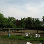 der Reitplatz und der Freispringgang