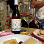 wine tasting with cheese