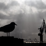 11. Platz, 114 Punkte - Aufziehendes Unwetter - Foto: Andreas Spott