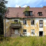 Man staunt, wo überall Bäume wachsen können! - Ort: Halbinsel Wustrow - Foto: Willi Heinsohn