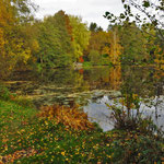 Herbstfarben, Bramfeld - Foto: Lothar Boje