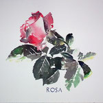 Acuarela sobre papel arches de 300 gm. 26x30 cm.  130 €.