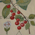 ERBARI  CILIEGIE - affresco a secco su tela con malta e terre naturali colorate - 25x30 cm