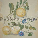 ERBARI  LIMONI - affresco a secco su tela con malta e terre naturali colorate - 25x30 cm