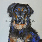 BRICK IL MIO CANE - tempera su tela 40x30 cm
