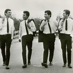 THE SPIDERS