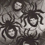 THE SPIDERS