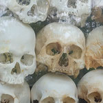 Veel schedels, gesorteerd naar kinderen/volwassenen en man/vrouw en gemerkt met kleurcodes per moordwapen