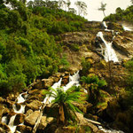 Columba Falls