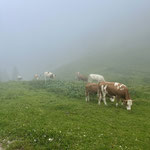 Start des Höhenrundwegs im Nebel