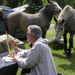 Sous le regard des chevaux