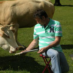 L aquarelle attire les vaches