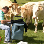 Sous le regard des chevaux