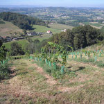Vue sur le village de Monein