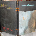 Libri d'artista - Opera: (2011) Cieli - Colore a tempera su vetro cm. 18,5 x 31,5 