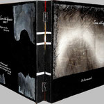 Libri d'artista - Opera: (2011) L'ora del ghiaccio - Colore a tempera su vetro cm. 34 x 29