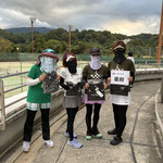 カラフルガーベラ