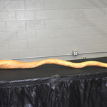 Longest Non-dipper Gourd - Kurt Brown - First Place (almost 8 feet!)