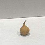 Smallest Gourd - Kristin Johnson - First Place