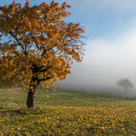 Herbst 2014