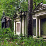 Alte Umbettung. Umbettungsreihe der Erbbegräbnisse von St. Matthäus/Schöneberg