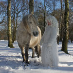 Fantasie & Wirklichkeit Fotografien und Gedichte Kathrin Steiger Winter Schnee Schneefee Schneeelfe Schnee-Elfe Winterfee Winterelfe Fairy Snow Fairy Fairies Pferd Pony