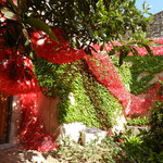 Temps de Flors 2013 (Girona)