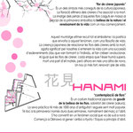 Temps de Flors 2013 (Girona)