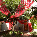Temps de Flors 2013 (Girona)
