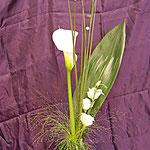 ausgarnierte Calla