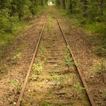TWE-Trasse nach Hövelhof