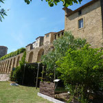 Le jardin conservatoire des plantes tinctoriales au Château de Lauris