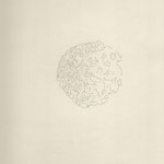 "To be late (te shape of lost time Kronor Ivory)", 2019, pencil on paper, 22x32 cm