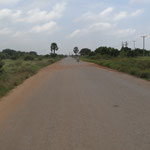 zunächst geht es durch die grüne Natur Ghanas über asphaltierte Straßen...