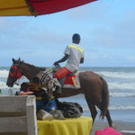 von diesen Typen sieht man am Strand tausende, die alle versuchen die Touristen auf ihr Pferd zu bekommen