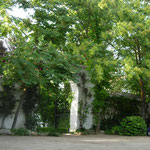 Entrada principal.