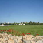 Panorámica de El Cortijo.