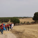 Camino de la acampada, con El Cortijo en el horizonte.