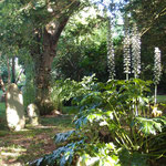 Unterwegs in Cornwall: Gulval bei Penzance